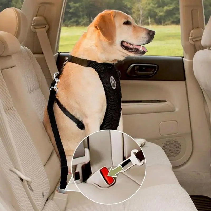 Breathable Mesh Dog Harness & Leash – Adjustable Pet Harness with Car Seat Safety Belt and Chest Straps